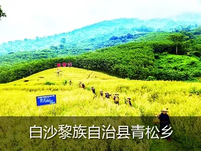 白沙黎族自治县青松乡